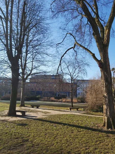 09.03.2022 Berlin: Berlin 'de tipik bir gün: evler, sokaklar, ulaşım