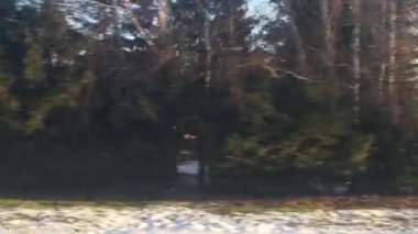 Polonya demiryolu ile bahar başında Polonya 'ya seyahat