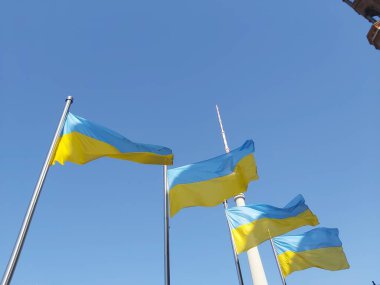  20 / 03 / 2022 Berlin Almanya Berlin rathaus önünde dalgalanan Ukrayna bayrakları