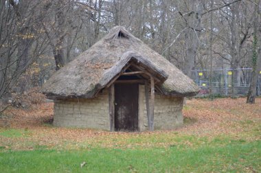 Ormandaki eski kulübe.