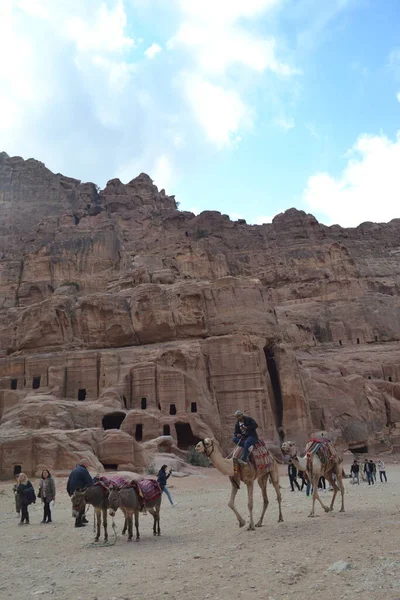 Die Wunderschöne Siq Schlucht Führt Zur Felsenstadt Petra Jordanien — Stockfoto