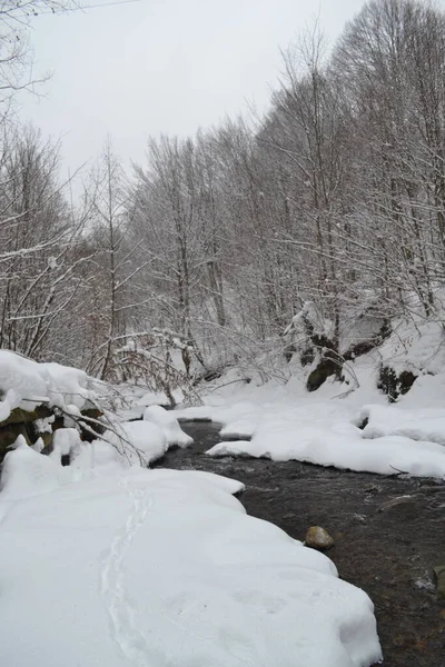 beautiful view of mountain river in winter, Kosino, Ukraine 