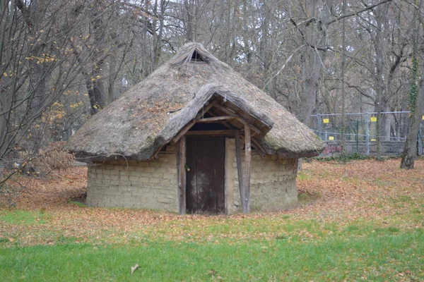 Ormandaki eski kulübe.