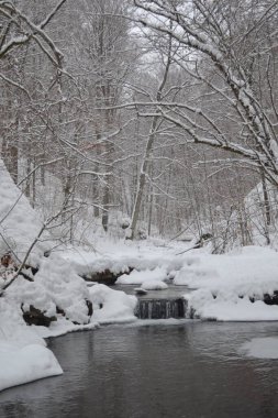beautiful view of mountain river in winter, Kosino, Ukraine 