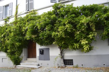 Pesaro şehir mimarisi, İtalya, Avrupa