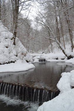 beautiful view of mountain river in winter, Kosino, Ukraine 