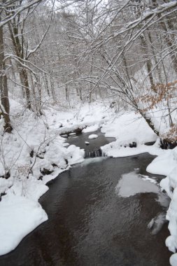beautiful view of mountain river in winter, Kosino, Ukraine 