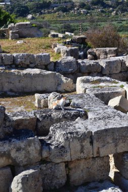 Malta 'nın eski kalıntıları 