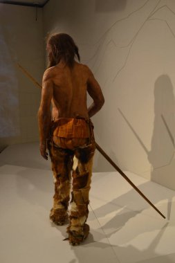 BOLZANO, ITALY, HAZİRAN 2018: 5300 yıl önce yaşamış bir adam olarak İtalya 'da bulunan Otzi mumyasının geçmişe bakış.