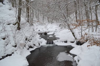 beautiful view of mountain river in winter, Kosino, Ukraine 