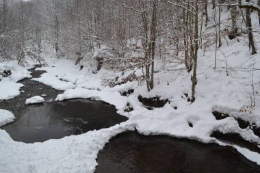 beautiful view of mountain river in winter, Kosino, Ukraine 