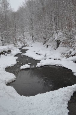 beautiful view of mountain river in winter, Kosino, Ukraine 