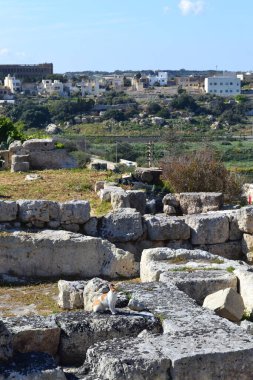 Malta 'nın eski kalıntıları 