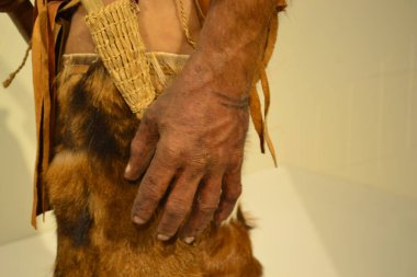 BOLZANO, ITALY, HAZİRAN 2018: 5300 yıl önce yaşamış bir adam olarak İtalya 'da bulunan Otzi mumyasının retrospektif detayları.