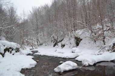 beautiful view of mountain river in winter, Kosino, Ukraine 