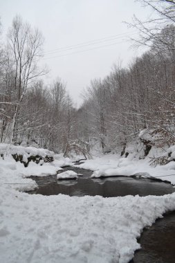 beautiful view of mountain river in winter, Kosino, Ukraine 