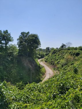 Yeşil dağ yolunda.