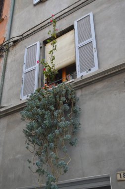 Pesaro, İtalya - 6 Ekim 2017: Pesaro, İtalya 'daki güzel mimari.