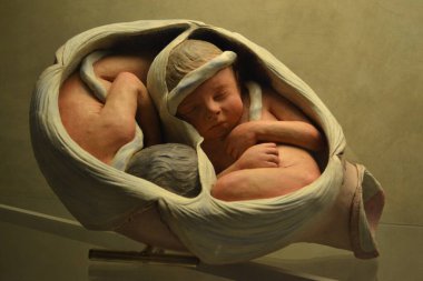 İtalya, Bologna 'daki Müze Palazzo Poggi