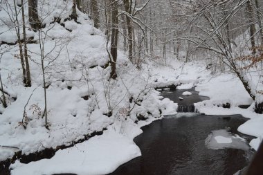 beautiful view of mountain river in winter, Kosino, Ukraine 