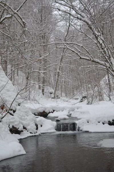 beautiful view of mountain river in winter, Kosino, Ukraine 