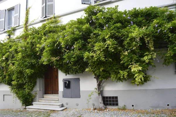 Pesaro şehir mimarisi, İtalya, Avrupa