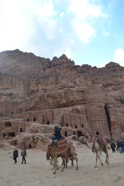 Magnifique Gorge Siq Menant Ville Rocheuse Petra Jordanie — Photo