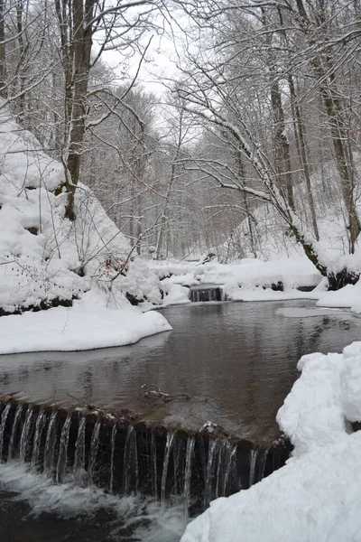 beautiful view of mountain river in winter, Kosino, Ukraine 