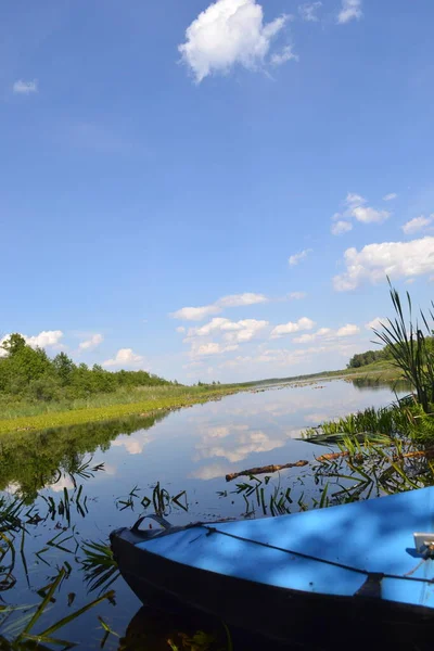 Shatsky Gölleri 'nde mavi botlu güzel bir manzara.