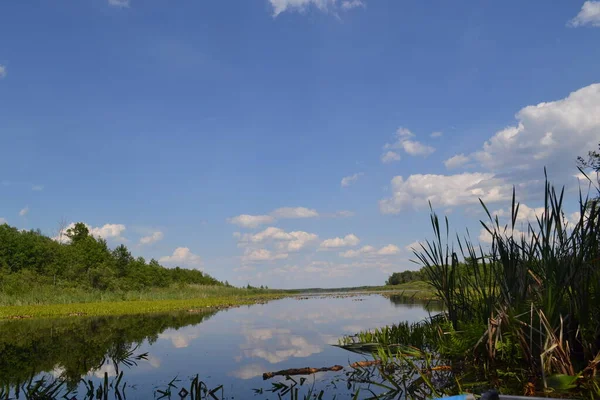 Shatsky Gölleri 'nin güzel manzarası, Kuzey Ukrayna
