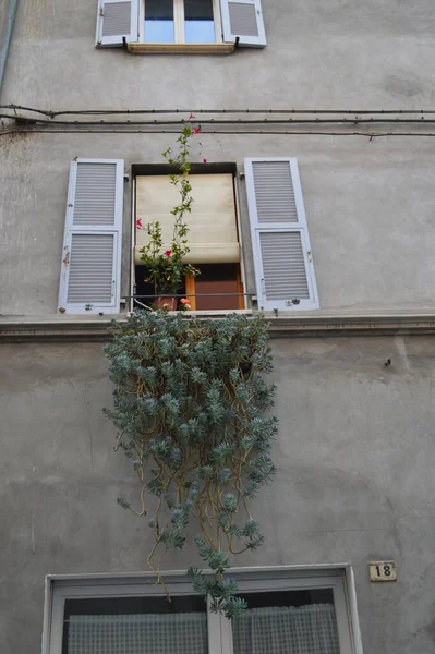 Pesaro, İtalya - 6 Ekim 2017: Pesaro, İtalya 'daki güzel mimari.