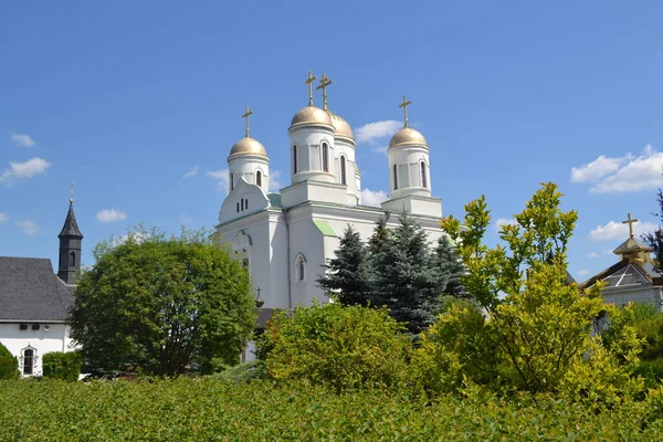 Uitzicht Kerk Zomer Shatsk Volyn Oblast — Stockfoto