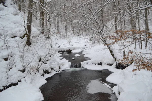 beautiful view of mountain river in winter, Kosino, Ukraine 
