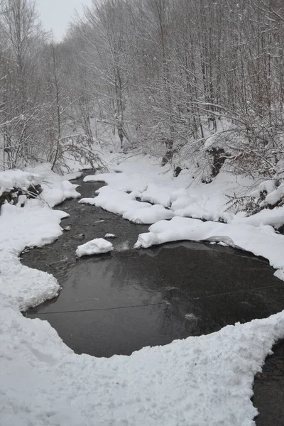 beautiful view of mountain river in winter, Kosino, Ukraine 