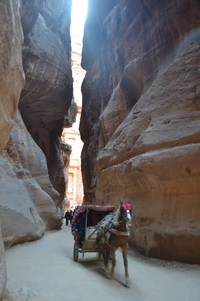 Die Wunderschöne Siq Schlucht Führt Zur Felsenstadt Petra Jordanien — Stockfoto