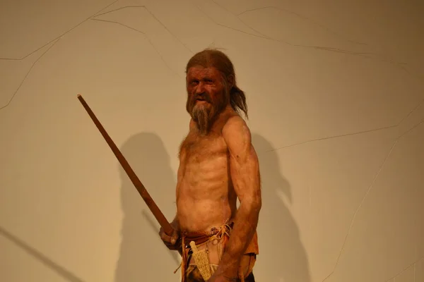 BOLZANO, ITALY, HAZİRAN 2018: 5300 yıl önce yaşamış bir adam olarak İtalya 'da bulunan Otzi mumyasının retrospektifi.
