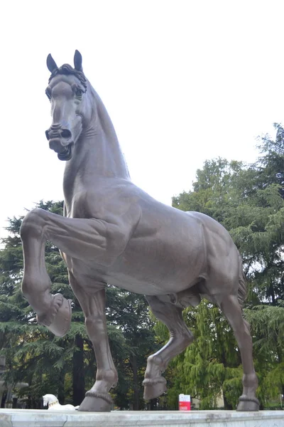 Standbeeld Van Een Paard Milaan Italië Europa — Stockfoto