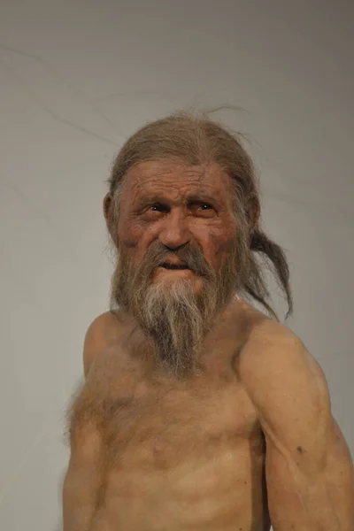 BOLZANO, ITALY, HAZİRAN 2018: 5300 yıl önce yaşamış bir adam olarak İtalya 'da bulunan Otzi mumyasının retrospektifi.