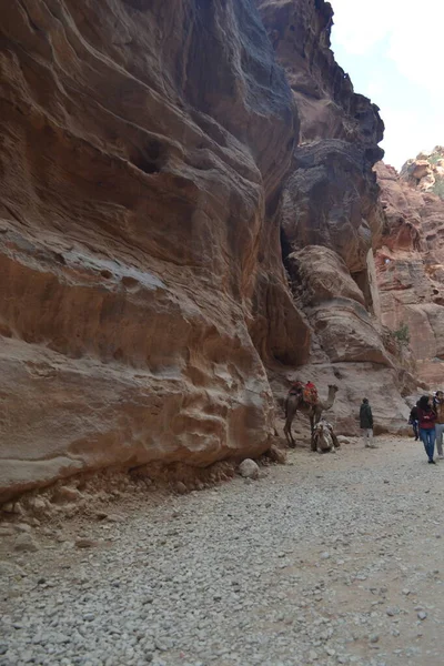 Красивое Ущелье Сик Ведущее Скальному Городу Мбаппе Иордании — стоковое фото
