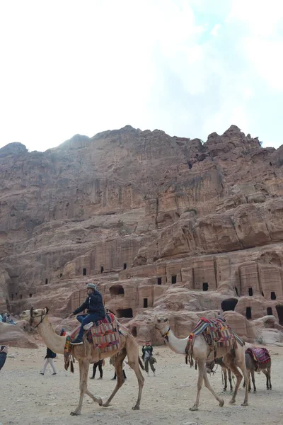 Magnifique Gorge Siq Menant Ville Rocheuse Petra Jordanie — Photo