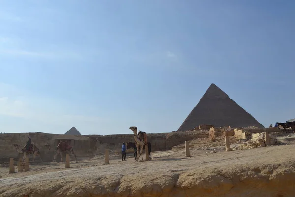 Piramidy Wielbłądy Ludźmi Saharze Egipt — Zdjęcie stockowe