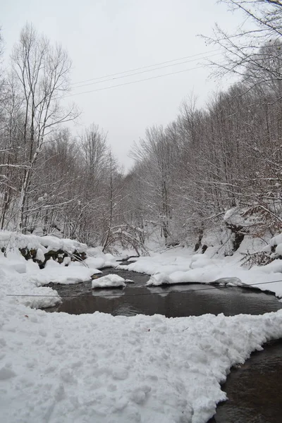beautiful view of mountain river in winter, Kosino, Ukraine 
