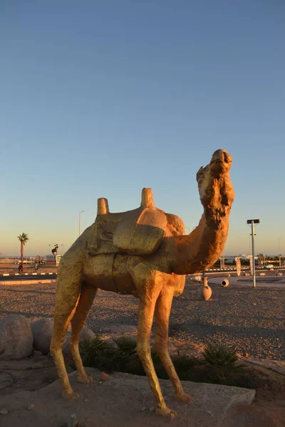 Çölde altın bir deve heykeli