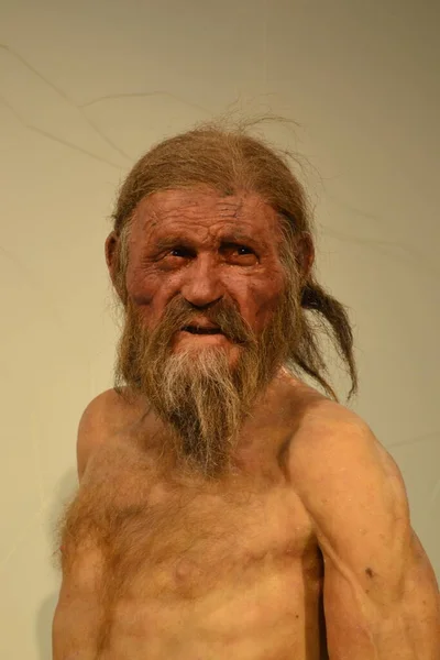 Bolzano Italy July 2018 Retrospective Otzi Mummy Found Italy Dated — стокове фото
