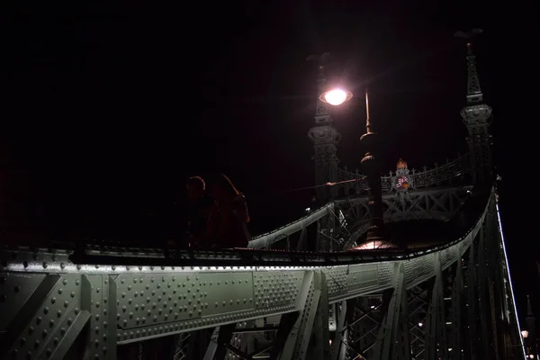 Budapest Ungheria Dicembre 2019 Veduta Notturna Del Ponte Della Libertà — Foto Stock