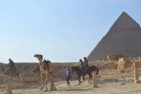 Pirámides Camellos Con Gente Desierto Del Sahara Egipto — Foto de Stock