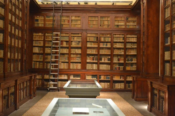 İtalya 'daki eski ahşap üniversite kütüphanesi, Bologna