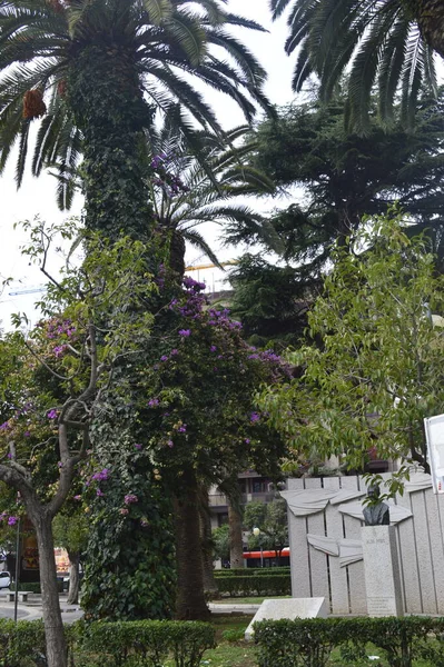 Bari sokak manzarası İtalya, Avrupa