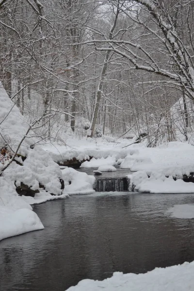 beautiful view of mountain river in winter, Kosino, Ukraine 