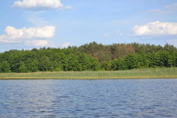 Bella Vista Dei Laghi Shatsky Ucraina Settentrionale — Foto Stock